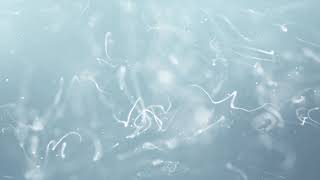White clean abstract particle lines pattern background screenshot 2