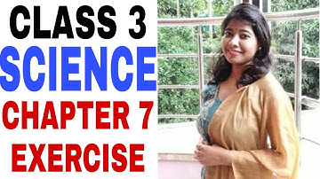 Class 3 Science Chapter 7 Exercise || CBSE Board || Prachi || Safety And First Aid (Part 3)