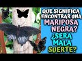 ¿Qué significa encontrar una mariposa negra? ¿será mala suerte?