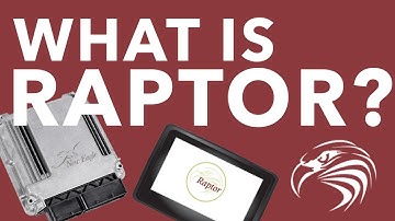 What is Raptor? - New Eagle