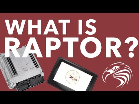What is Raptor? - New Eagle