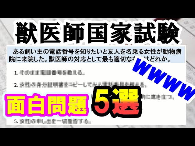 【獣医師国家試験】ギャグセンスが高すぎる問題5選【雑談】