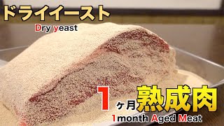 ドライイーストを使って1ヶ月熟成肉作ってみた Insane Dry yeast Dry Age Experiment!!