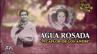 Picaflor de los Andes - AGUA ROSADA chords