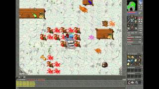 Tibia - Pirate Bosses [HD]