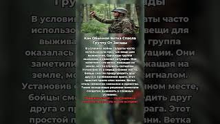 Как Обычная Ветка Помогла Избежать Засаду В Афганистане Военные истории