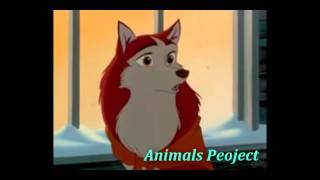 Balto-Dized