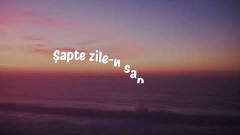Alex Velea - Pierde Vara (Versuri/Lyrics)