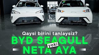 BYD SEAGULL yoki NETA AYA?