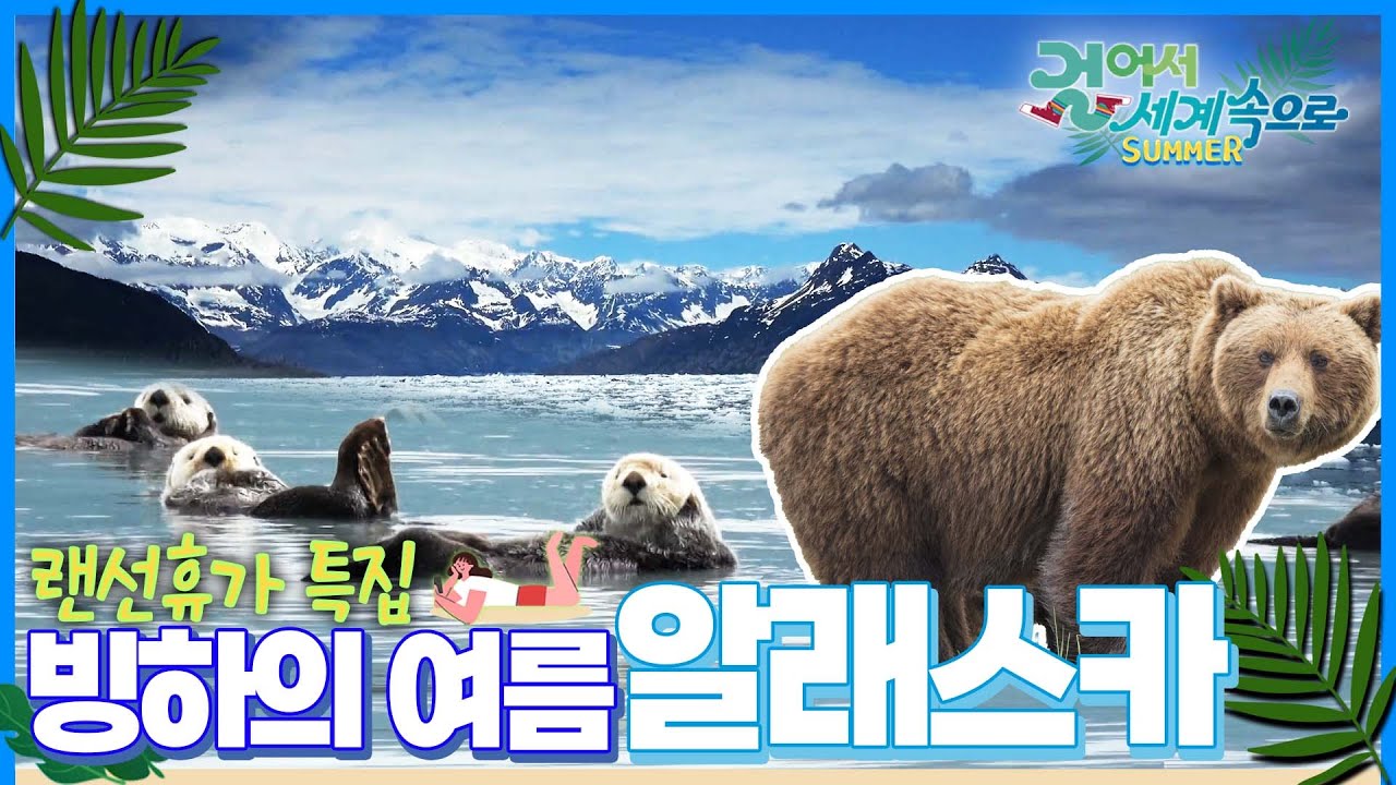 [#랜선휴가특집🏖️] 50m 거리에서 곰, 해달, 돌고래 전부 볼 수 있는 '알래스카 대자연 & 빙하' 여행 Trip to Alaska (KBS_20150912)