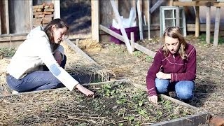 In Your Own Words: Sustainability at UNC Asheville