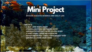 Mini Project Presentation (Group 5)