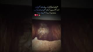 Deep Lines ❤️ 💯 l #mjttalks #quotes #aesthetic #viral #trending #explore #fyp #unfrezzmyaccount