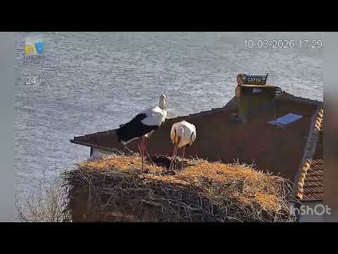 Yaren’in eşi Nazlı’da göçten geldi bugün
