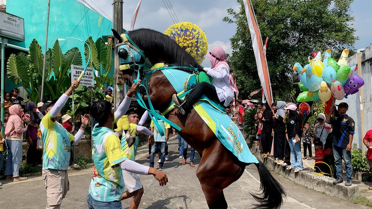 15 Menit Nonton Arak Arakan Kuda Desa Tambakrejo