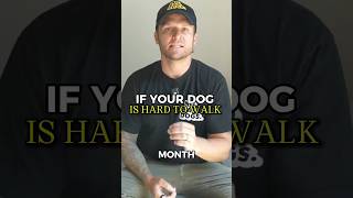 If Walking Your Dog Keeps Getting Harder, Watch This