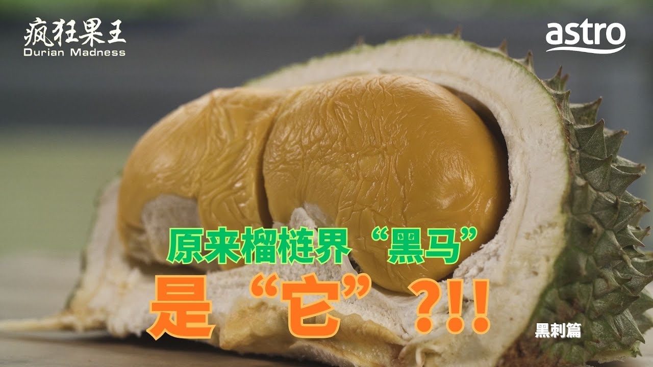 原来“它”比猫山王还要贵！榴梿界“黑马”称霸市场秘密曝光 ｜《疯狂果王》 Durian Madness EP3