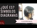 ¿Cómo realizar un flujograma?