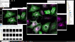OPTIONAL - Data wrangling with multiple files (HD)