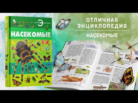 Книга для детей Насекомые, отличная энциклопедия