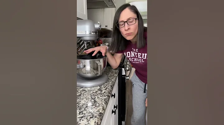 Video 6399141: cat chinchilla pets, cat dog chinchillas