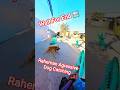 Raheman Boys Come Back Dog Catch #dog #ytviral #dogwithpublicsafety #doglife #dogshorts #dogs