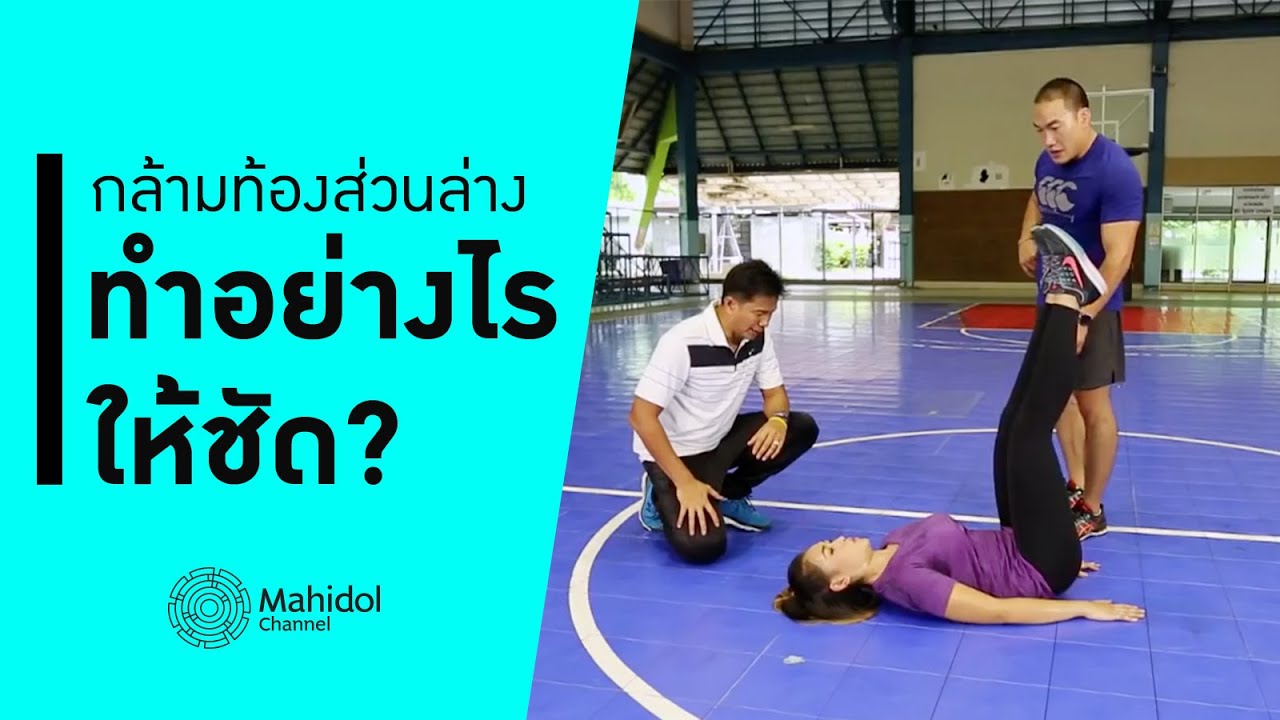 บริหารกล้ามท้องส่วนล่าง อยากมีกล้ามท้องชัด HD ห้ามพลาด!!! [สอนออกกำลัง by Mahidol Channel]