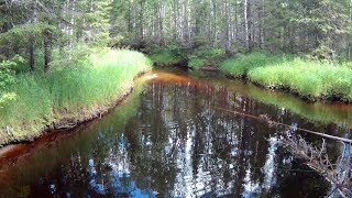 СПИННИНГ/ЛЕСНАЯ РЕЧКА/ДВОЕ НА РЕКЕ. СПИННИНГ/ЛЕСНАЯ РЕЧКА/ДВОЕ НА РЕКЕ.