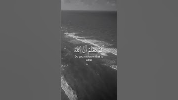 سورة البقرة #تلاوة_خاشعة #المصحف #سورة_البقرة #قرآن #راحة_نفسية