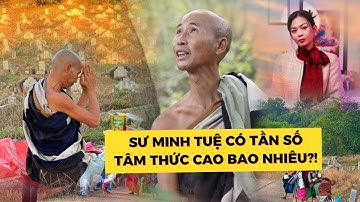 SƯ MINH TUỆ Có Oai Lực Tần Số Gì Tà Ma Không Xâm Hại Được? Bạn Có Cùng Tần Số Với Thầy Minh Tuệ?