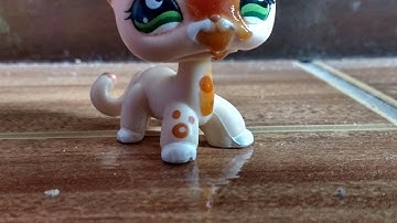 LPS MV |Click Click Click| concurso|