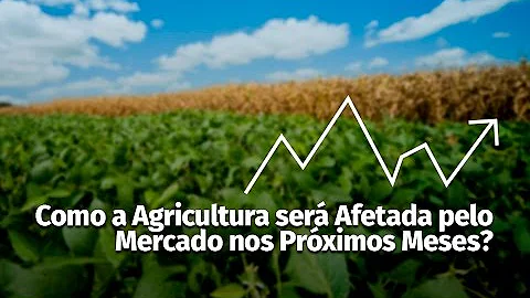 Como a agricultura é afetada pelo ciclo da água como isso pode atingir o consumidor?