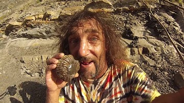 Let Your Hair Hang Down Freaky Fossil  Licking Friends Lol