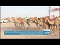 انطلاق منافسات سباقات الهجن بمضمارالأبيض في ولاية المضيبي بمحافظة شمال الشرقية 