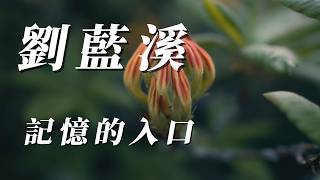 （劉藍溪）記憶的入口（精挑細選）謝謝朋友們🪴🪴🪴🪴🎍