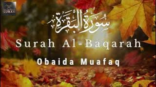 Surah Al-Baqarah Full Arabic  Recitation by Obaida Muafaq | Powerful & Soothing Quran Tilawat