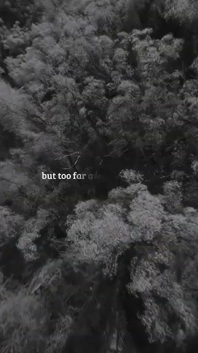 Tell Me How It Feel Sitting Up There Tell me how it feels sitting up there #lyrics #shorts - YouTube