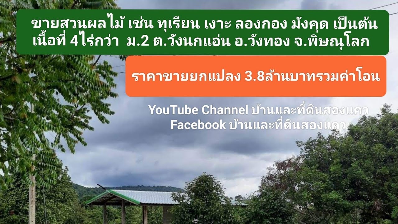 ขายสวนผลไม้ หน้าติดถนน หลังติดแม่น้ำเข็ก 4ไร่19ตรว. ม.2 ต.วังนกแอ่น อ.วังทอง พิษณุโลก ขาย 3,800,000฿