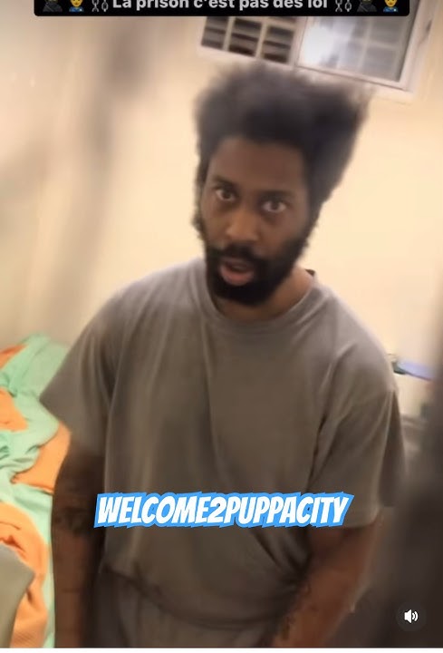 The effects of spice in uk prisons