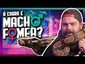 Cobra Macho ou Fêmea? Como saber se uma SERPENTE é macho ou fêmea?