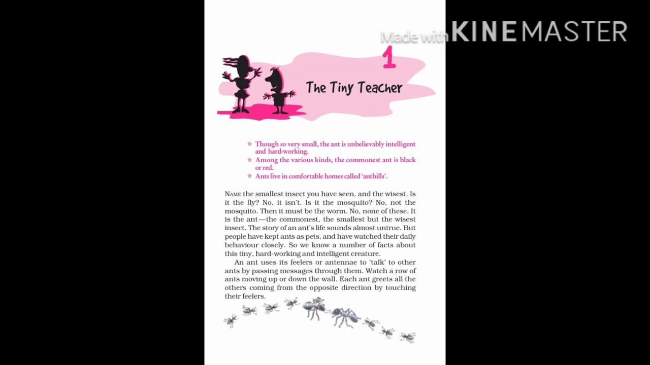 THE TINY TEACHER CLASS 7 YouTube THE TINY TEACHER CLASS 7 YouTube