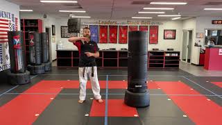 Reverse Elbow Strike, #2 Front Kick Board Breaks