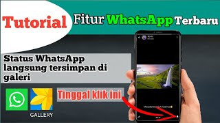 How to save WhatsApp status without getting caught | Latest WhatsApp features screenshot 4