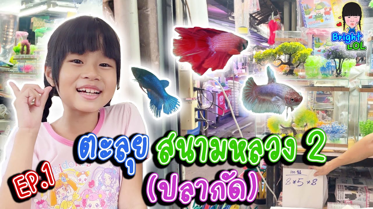 Ep.1 ตะลุยสนามหลวง2 เพื่อดูนก แต่ปลามันสวย ขอจัดก่อนนะ