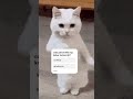 #butifyoucloseyoureyes