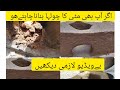 Matti Ky Choolhy Bnany Ka Sara Treeka Dhkain ||Gher Mn Choolhy Ap Bhi Is Trhan Bnain