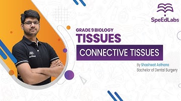 CBSE\ICSE || Biology || Grade 9 || Tissues || Connective Tissues