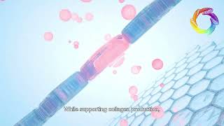 What is Quantum Dot Technology