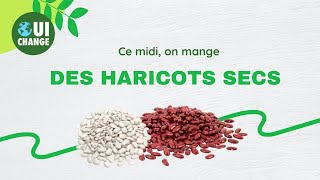 Ouichange Vidéos Ingrédients Le Haricot Sec