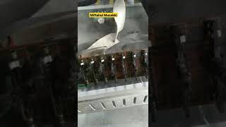 Download Lagu perbaikan equalizer grodok grodok audio🤣🤣🤣 MP3